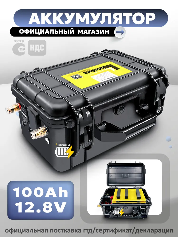 Аккумуляторная батарея LiitoKala LiFePO4 12V 100Ah со встроенной защитой BMS