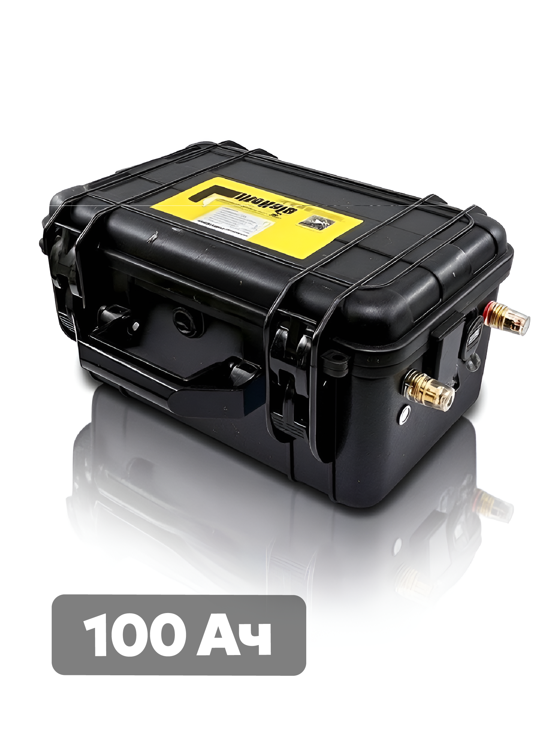Аккумуляторная батарея LiitoKala LiFePO4 12V 100Ah со встроенной защитой BMS