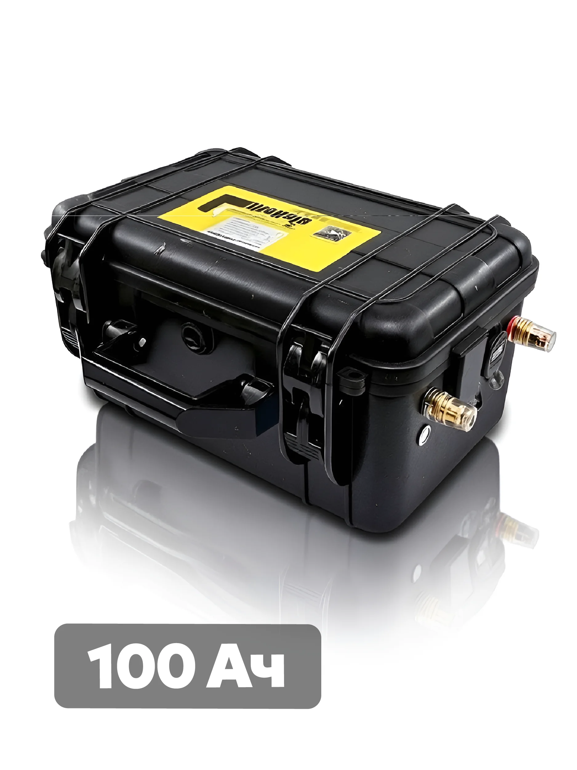 Аккумуляторная батарея LiitoKala LiFePO4 12V 100Ah со встроенной защитой BMS